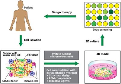 Polysaccharide-Based Hydrogels for Microencapsulation of Stem Cells in Regenerative Medicine